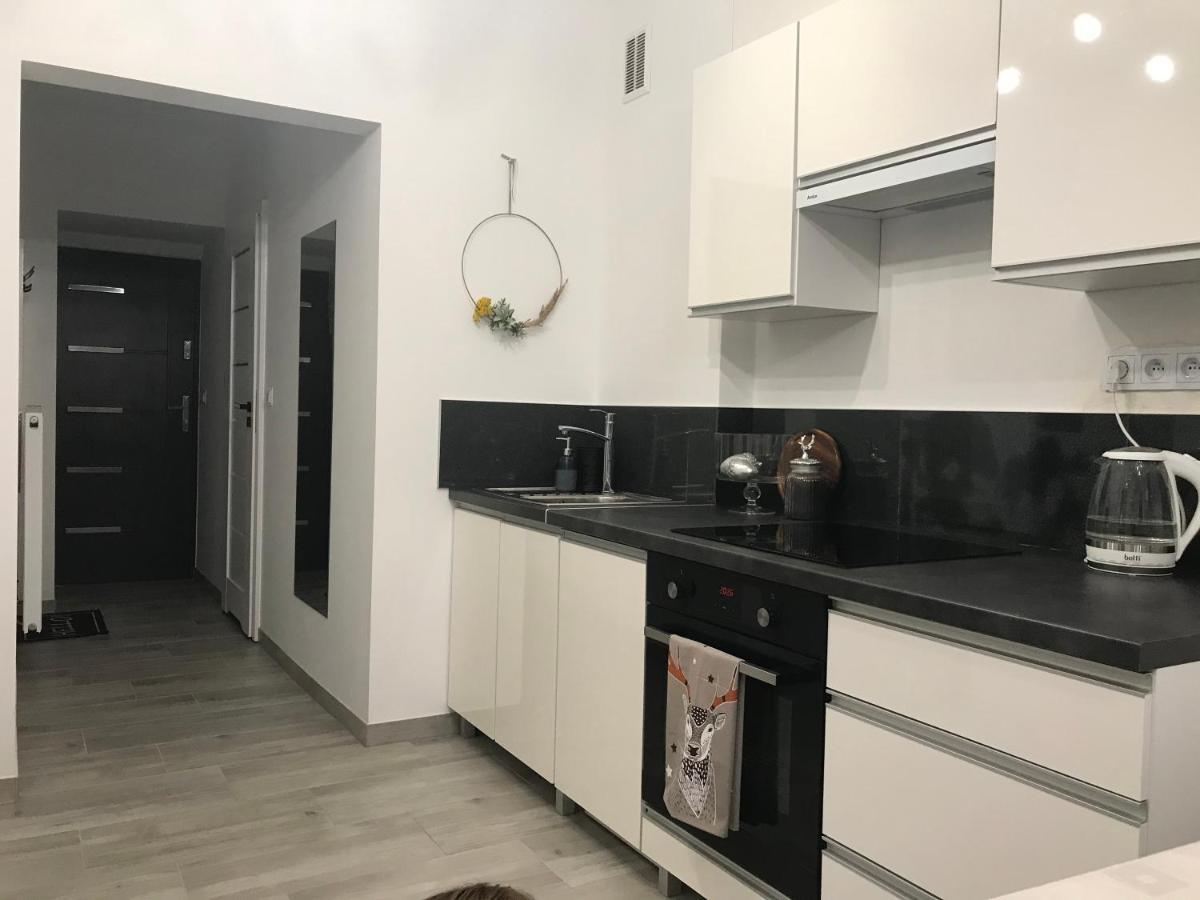 Apartament Pod Chojnikiem Apartment Собешов Екстериор снимка